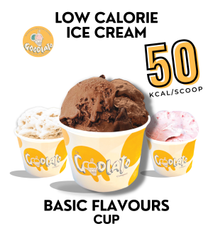 low calorie ice cream high protein low fat cup size serving size
